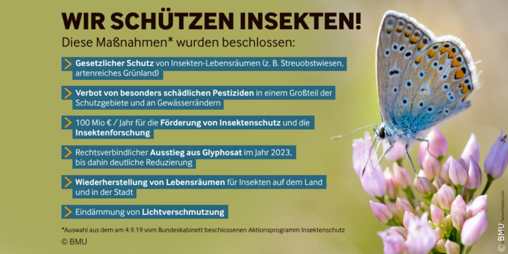 Aktionsprogramm Insektenschutz Lichtverschmutzung Bundesumweltministerium